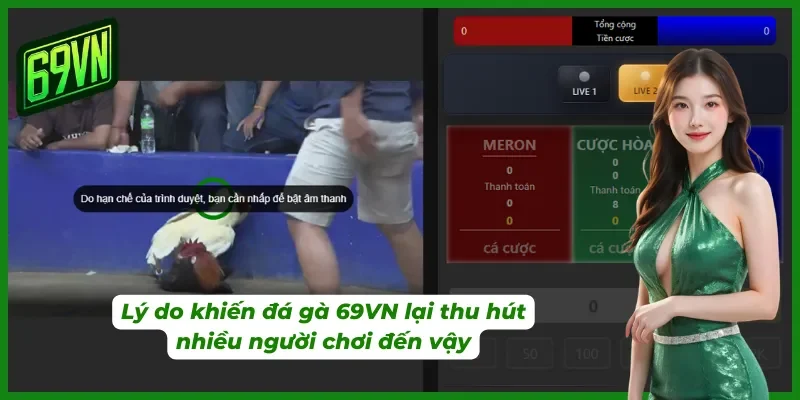 Lý do nhiều người chơi lại chọn 69VN để chơi đá gà