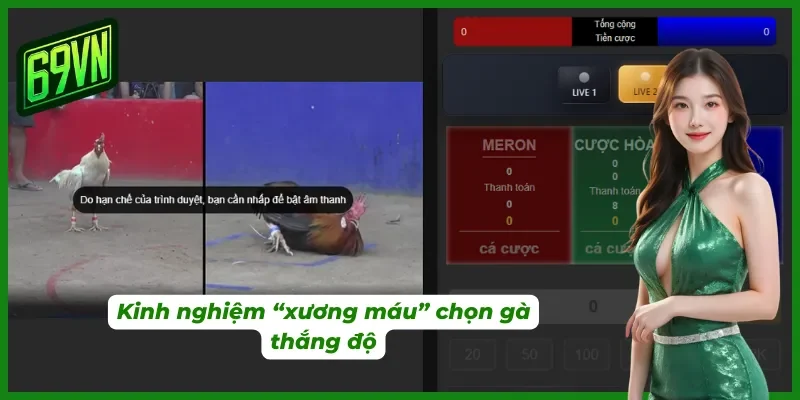 Kinh nghiệm từ các chuyên gia