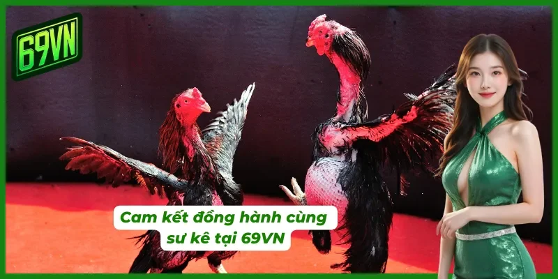 Cam kết của nhà cái 69VN